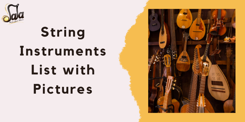 String Instruments List with Pictures 40 Instrument