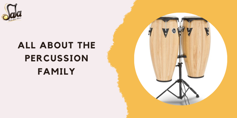 Percussion Family of Instruments: What instruments are in the percussion  family?