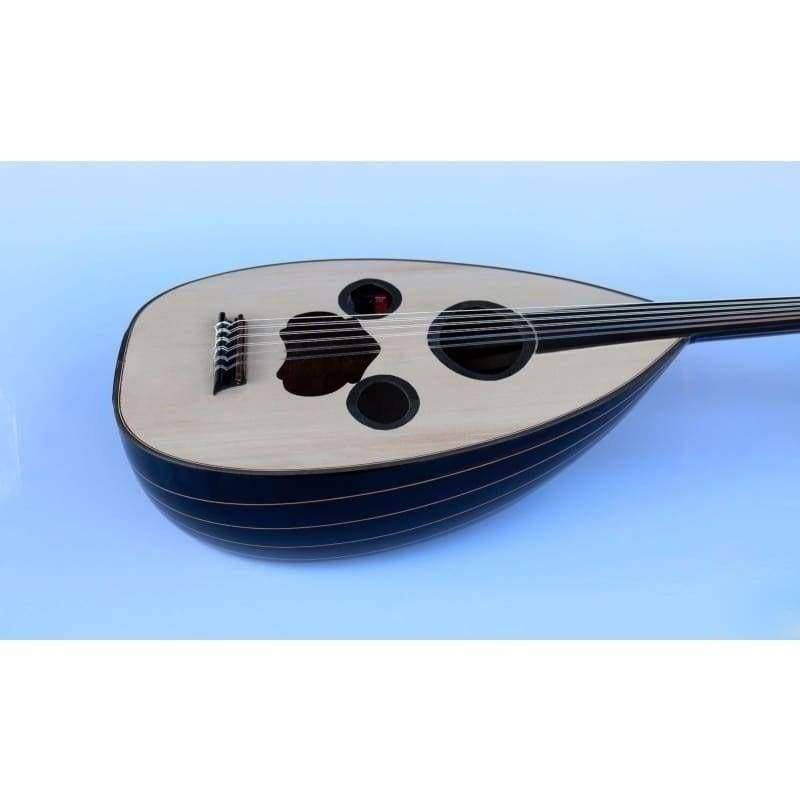 Professional Arabic Electric Oud AAOK-208G