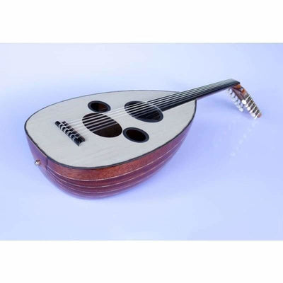 Professional Arabic Electric Oud AAOK-301G