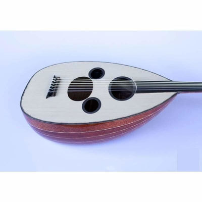 Professional Arabic Electric Oud AAOK-301G