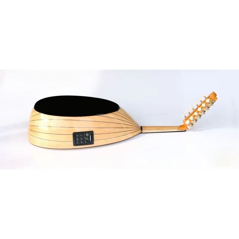 Professional Turkish Electric Oud AOK-206G