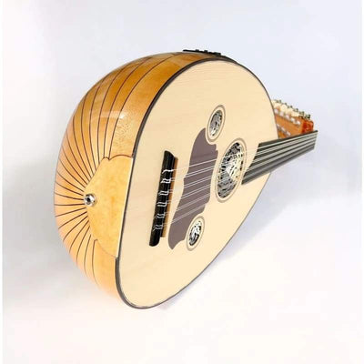 Professional Turkish Electric Oud AOK-206G