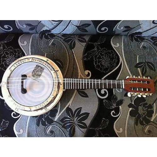 Turkish Banjo By Zeynel Abidin
