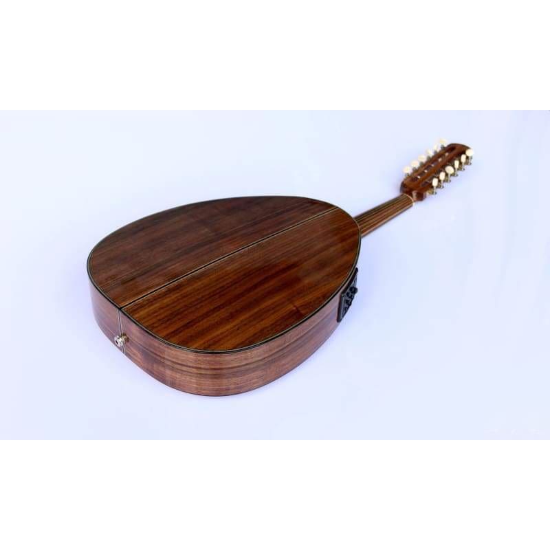 Turkish Professional Electric Oud OUDE #4