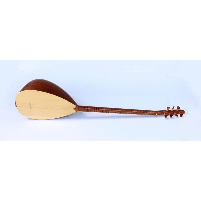 Saz Turkish Musical Instrument