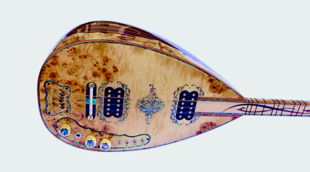 Electric Baglama Saz Switches and Potentiometers