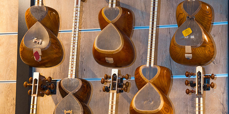 Persian tar long-neck plucked lute used in classical Iranian and Azerbaijani music