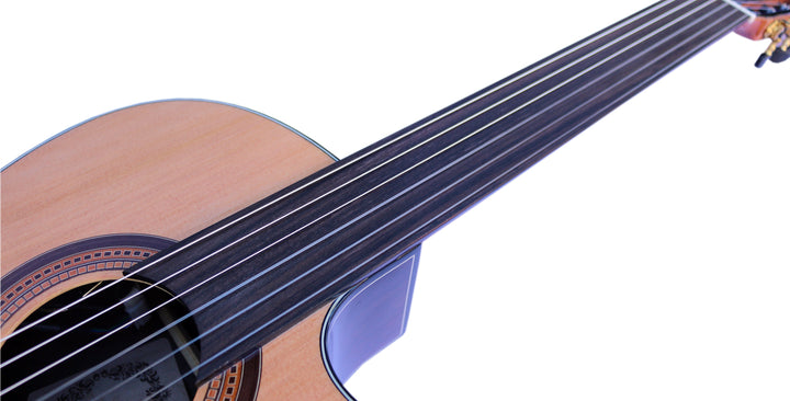 Professional Fretless Electric Classical Guitar With Equalizer CP-3