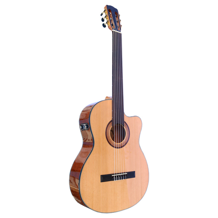 Professional Fretless Classical Guitar With EQ CP-4