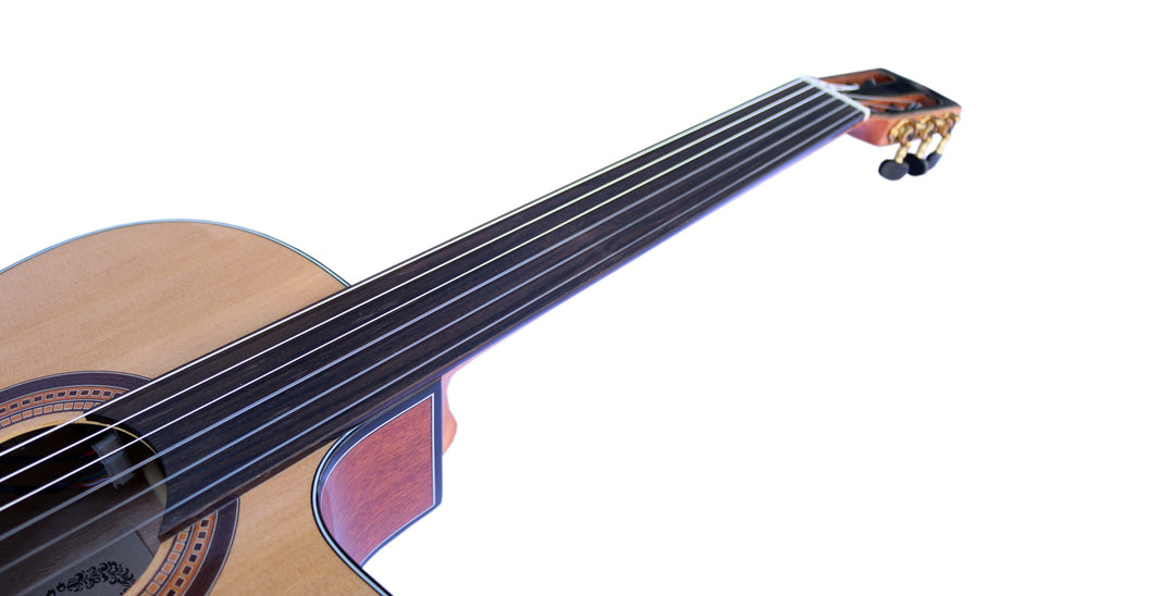 Professional Fretless Classical Guitar With EQ CP-4