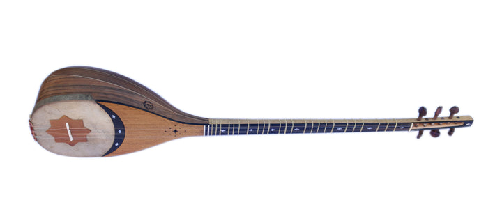 Movlana shourangiz MSH-405 Persian long-neck plucked lute