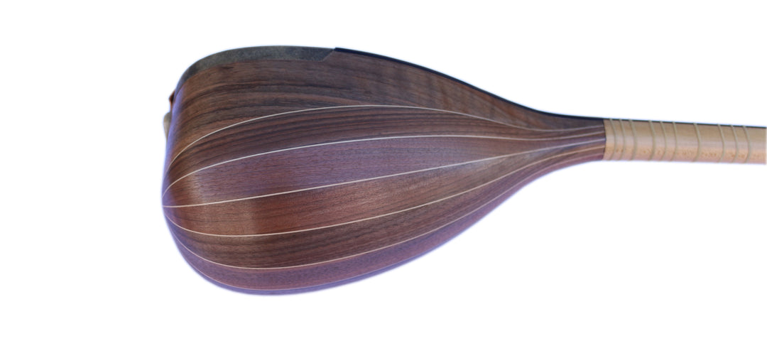 MSH-405 shourangiz by Movlana Persian handcrafted plucked instrument
