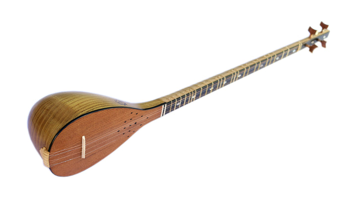 Movlana geschnitzte Maulbeer-Setar MOS-7 Lautenbauerinstrument