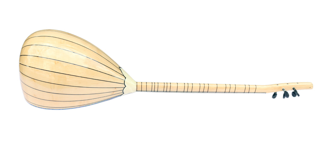 Dest Long Neck Electric Saz Baglama Dest W2