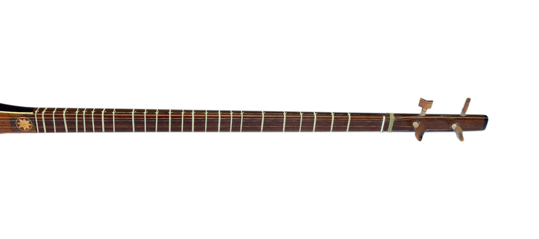 Sétar électro-acoustique Sala ES-4 amplifiant luth persan