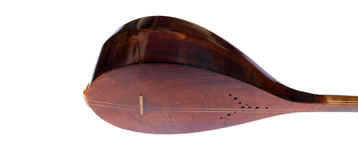 Nava Persian dotar ND-101 mulberry body traditional plucked instrument