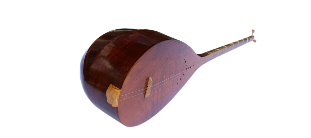 Nava dotar ND-101 luthier handcrafted Persian two-string lute