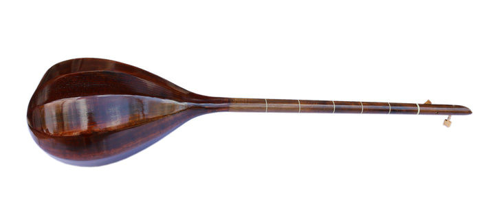 Nava dotar ND-101 Persian traditional plucked lute instrument