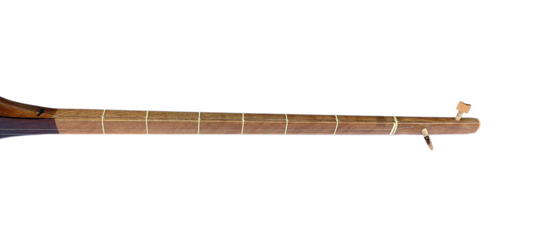 Dotar ND-102 by Nava walnut body Persian long-neck instrument