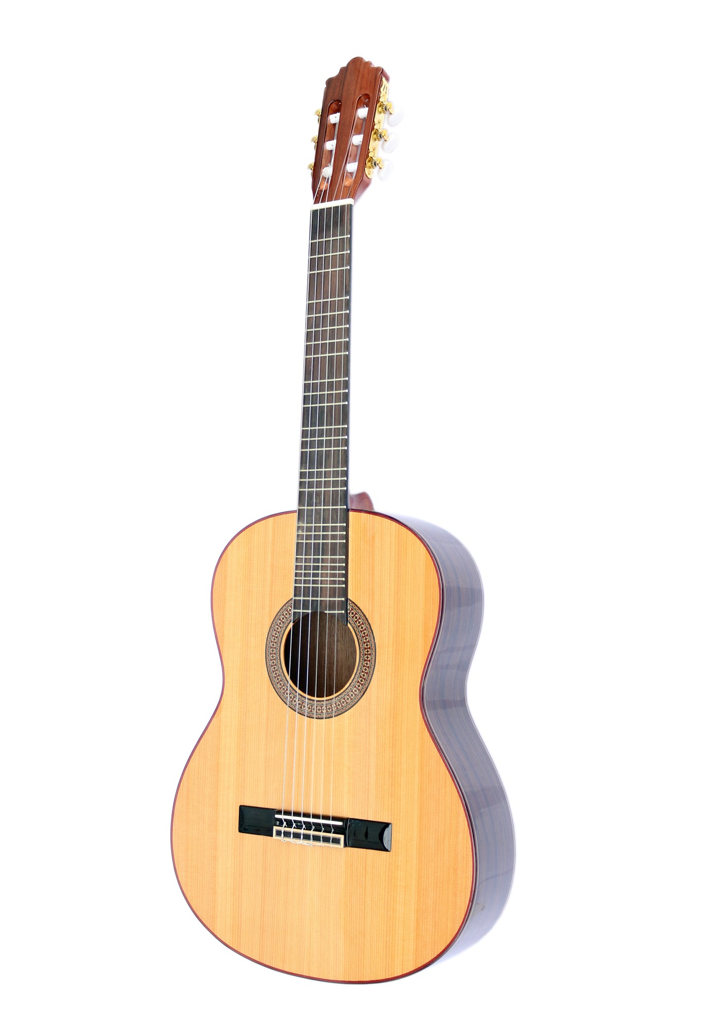 Guitare classique sans frettes DGP-203