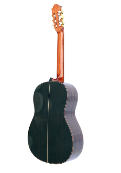 Microtonal Classical Guitar KG-2