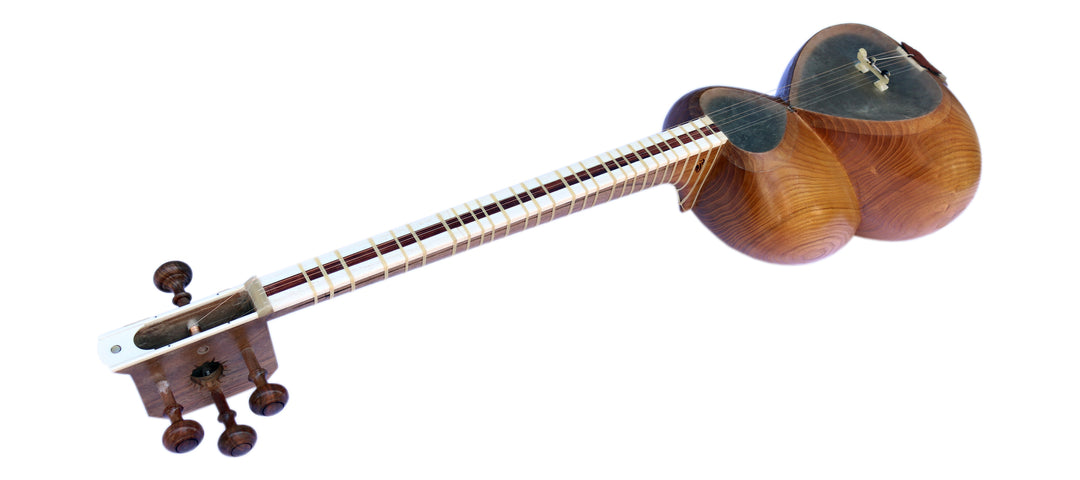 Mokhtari tar MPT-3L luthier instrument mulberry body left-hand