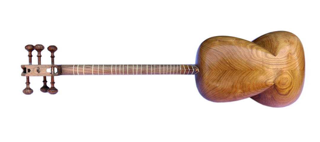 Left-handed tar MPT-3L by Mokhtari concert Persian classical lute