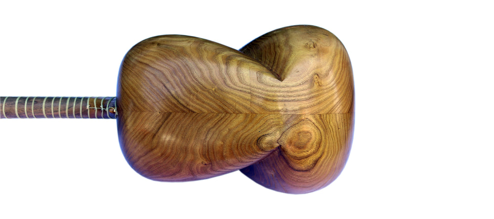Left-handed tar MPT-3L by Mokhtari with mulberry body Persian instrument