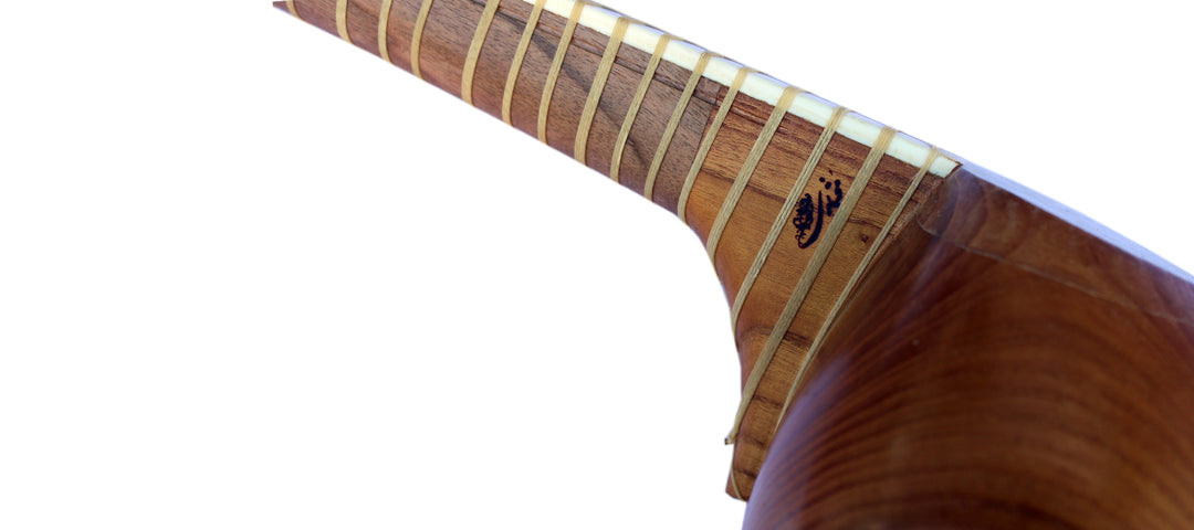 Mokhtari left-handed tar MPT-3L Persian double-bowl instrument