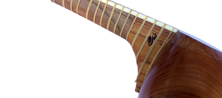 Mokhtari left-handed tar MPT-3L Persian double-bowl instrument