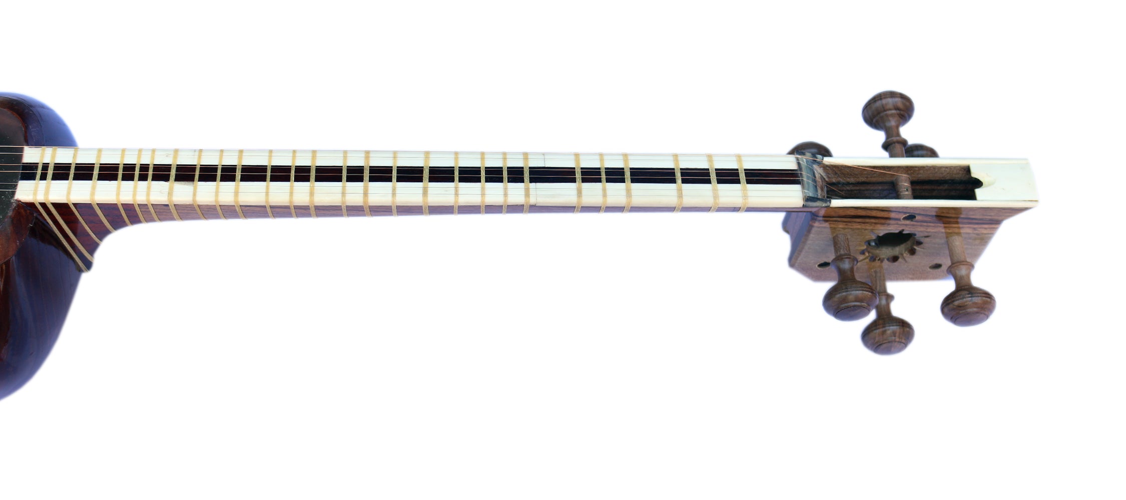 Professioneller Teer von Golestani GTP-4