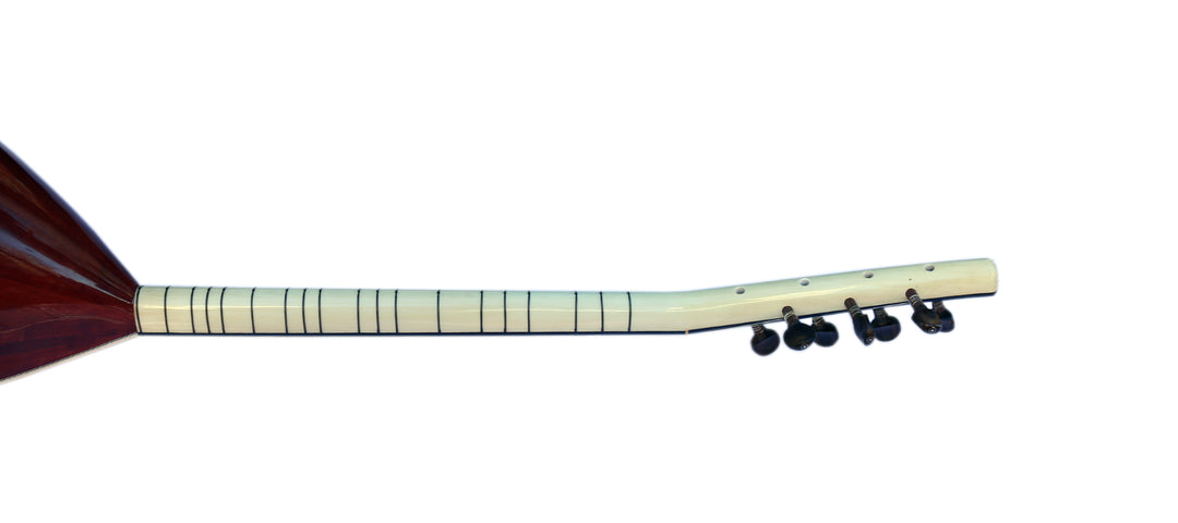 Sala short neck electric acoustic baglama ASB-305