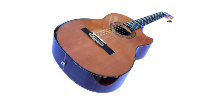 Professional Microtonal Electric Classical Guitar With Equalizer KG-5