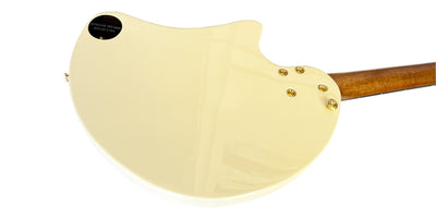 Special Steel String Electric Oud RaksOud