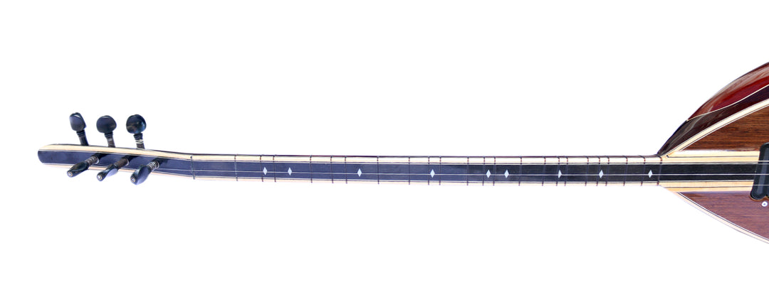 Sala Muzik Professional Left Handed Electric Baglama Saz SES-12L