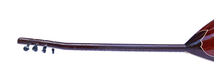 Sala Muzik Professional Left Handed Electric Baglama Saz SES-12L