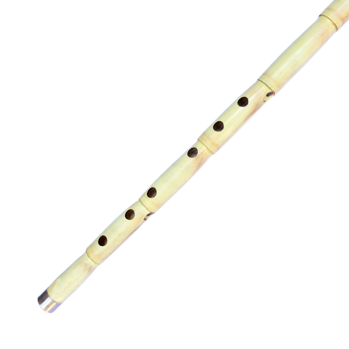 Professional Turkish Ney With Horn Baspare HNP-404