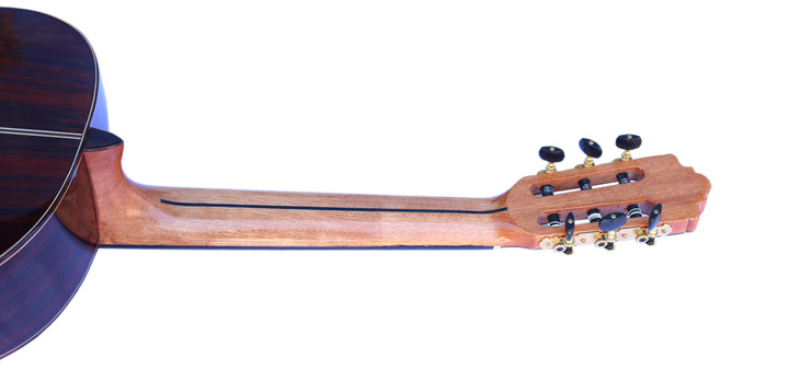Sala Adjustable Microtonal Classical Guitar CK-5