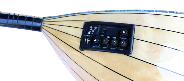 Dest electric baglama saz with rhythms RT1 for solo performance