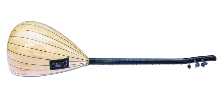 Dest RT1 electric baglama saz with rhythm system