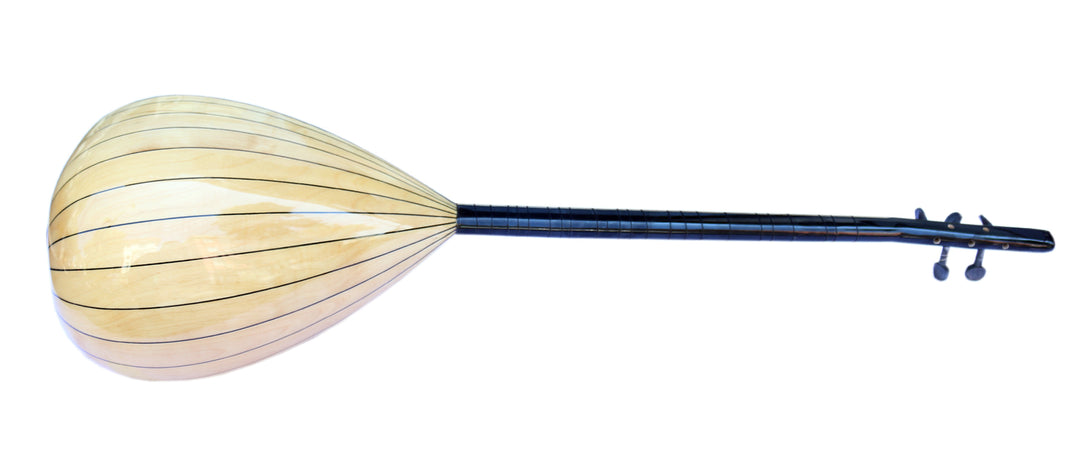 Dest electric baglama saz with rhythms RT1 for solo performance