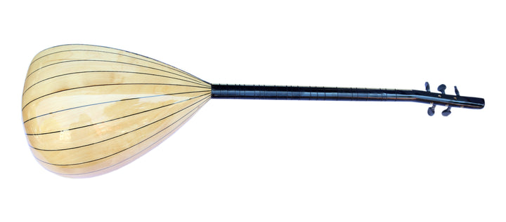 RT1 electric baglama saz with built-in rhythms by Dest