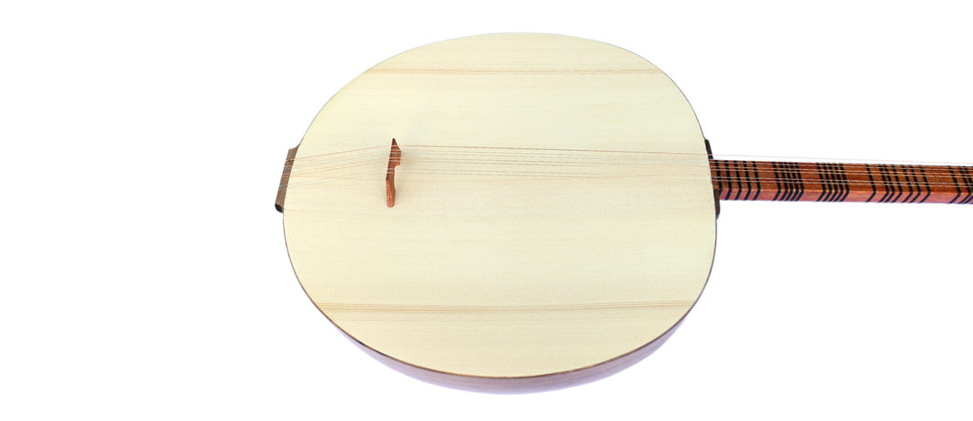 Professional Turkish tanbur BTP-6 long-neck plucked lute used in Ottoman classical music