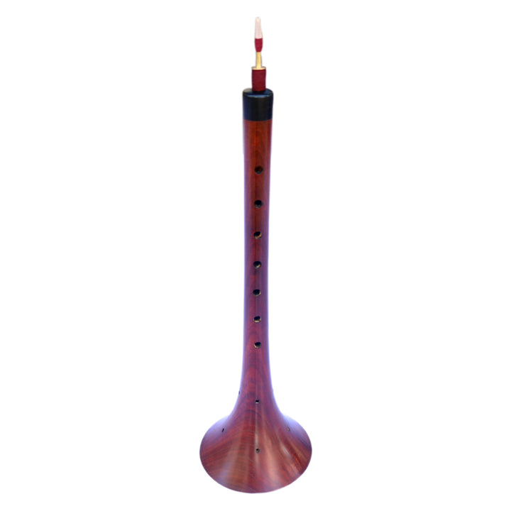 IMG_7894_720x.jpg?v=1729191917