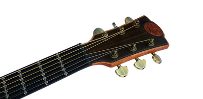 Adjustable Microtonal Acoustic Guitar CA-5