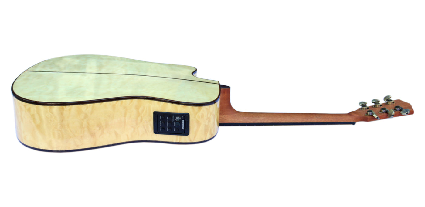 Adjustable Microtonal Acoustic Guitar CA-5