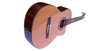 Professional Fretless Classical Guitar With EQ CP-4