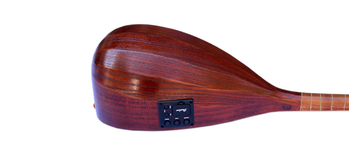 Electric-acoustic Persian tanboor ETM-4 with built-in equalizer and onboard pickup