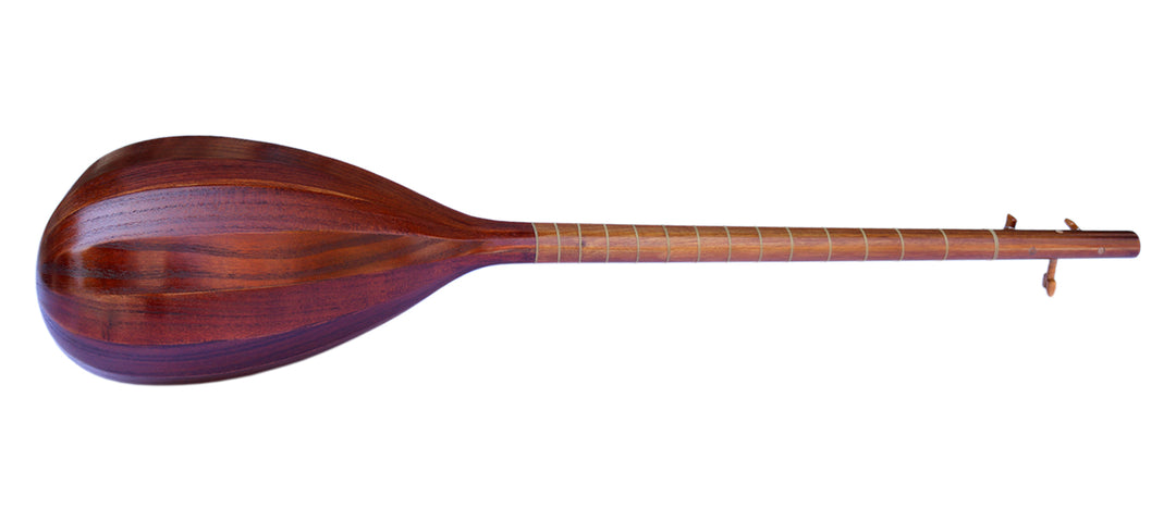 Electric-acoustic Persian tanboor ETM-4 with built-in equalizer and onboard pickup